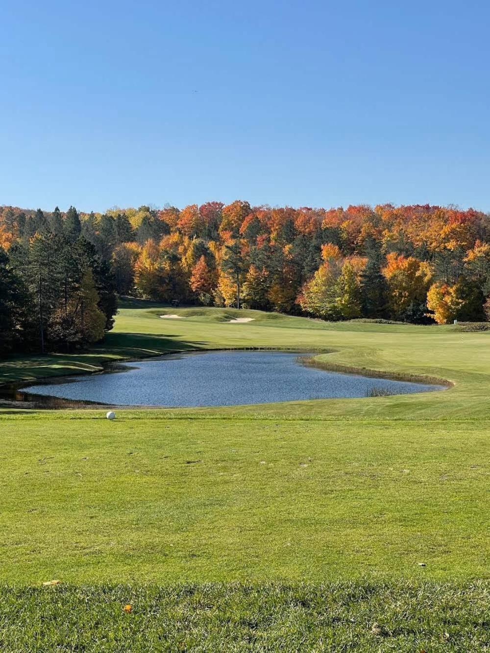 Shanty Creek, Condo, Golf ,Sleeps 4, Pets Welcome! Bellaire Eksteriør billede